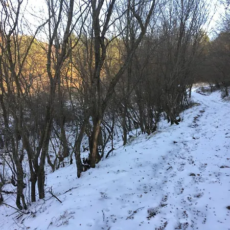Nyaraló Rose Garden