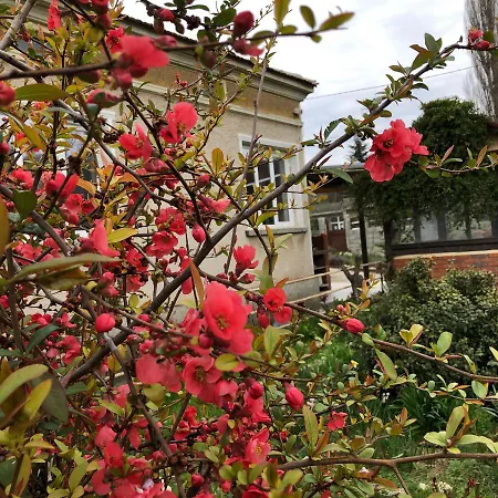 Rose Garden Casa de Férias Batovo