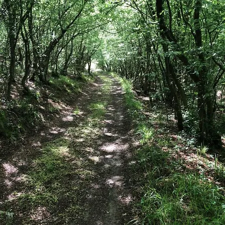 Rose Garden * Batovo