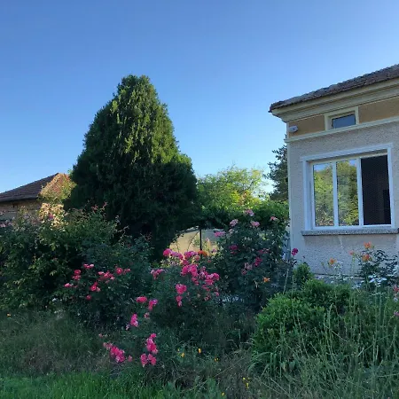 Rose Garden