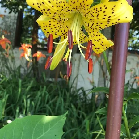 Rose Garden Holiday home