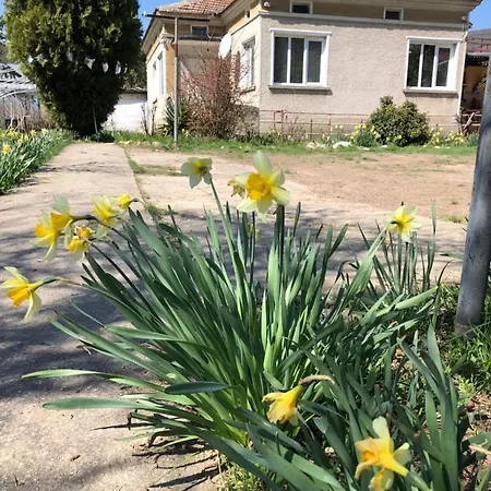 Rose Garden * Batovo