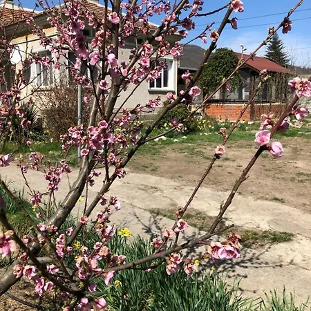 Rose Garden Holiday home *